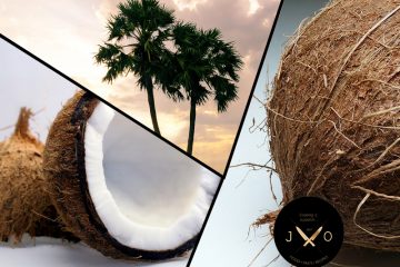 coconut καρυδα οφελη προιοντα